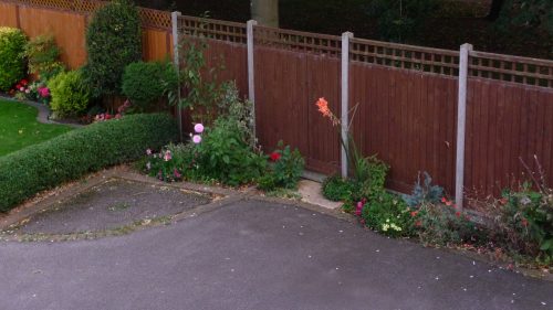 The front border in late summer