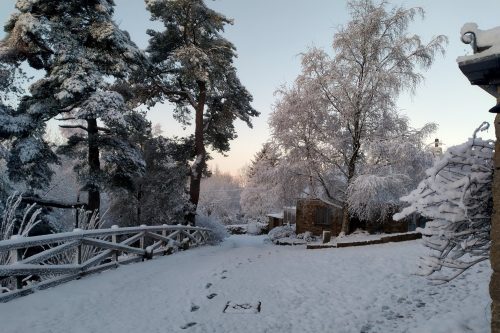 Snowy drive at Throssel