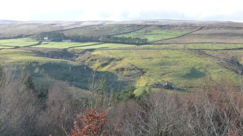 View across the valley from Throssel