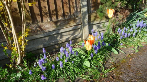 Click to enlarge Front border April 2025