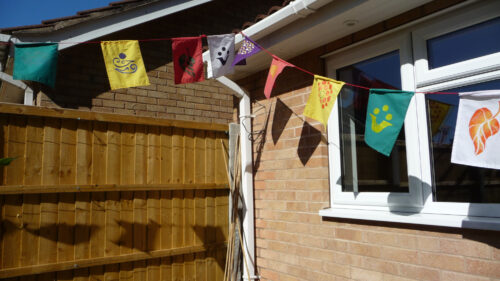 Click to enlarge Wesak bunting in the sunshine